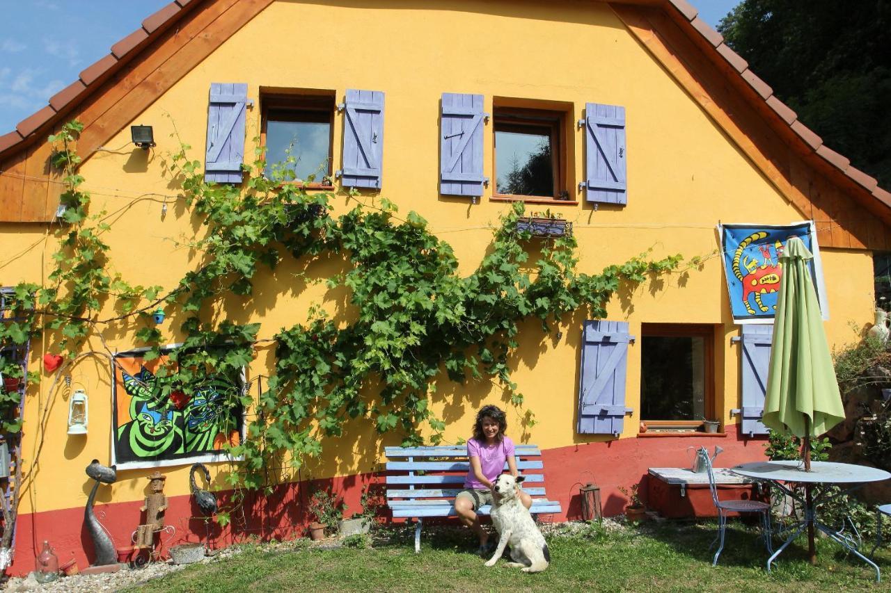 Abri De Jardin Amenage, Chambre Camping Glamour Hotel Lalaye Exterior foto